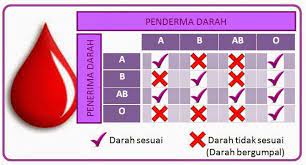 Memperkukuhkan identiti sebagai satu kumpulan penderma darah dengan berinteraksi dan informan. Kumpulan Darah Penderma Kepada Penerima