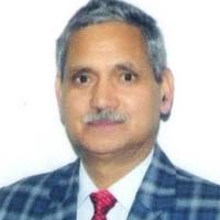 PDF) Cyclopentanomonoterpene enol acetates from Nepeta leucophylla