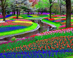 Park Keukenhof Amsterdam Jardin De Primavera Jardines Jardines Hermosos