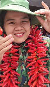 9X Northwest and the journey to help farmers consume agricultural products  using digital technology