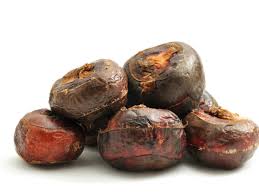 Maybe you would like to learn more about one of these? What Is A Water Chestnut Information About Growing Water Chestnuts