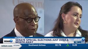 Heidelberg mayor to stay in office after earning majority of votes in  municipal election