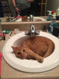 say hello to margo! her favorite things