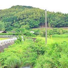 緑に覆われたサイロ 30jidori instagram com p aunjuoxinf instagram instagram posts outdoor