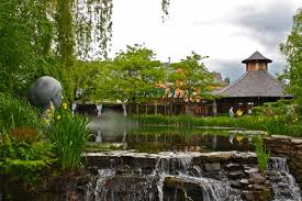 Live wallpapers with zen garden are very easy to set up, just a couple of minutes and you will have a new desktop with the live wallpaper of a zen garden. 40 000 Best Zen Garden Photos 100 Free Download Pexels Stock Photos