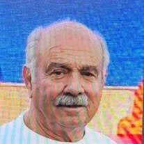 Renee Locke's Instagram, Twitter & Facebook