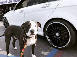 Check spelling or type a new query. San Diego Tire Wheel Outlet San Diego Ca 858 277 6500