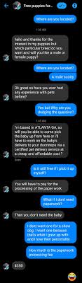 Scammers offer to provide free or inexpensive puppies, just for the price of shipping. Pretty Sure This Is A Fb Scam For The Record Akc Registration Is 25 Scams