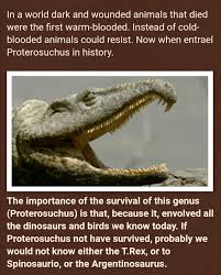 Image result for Proterosuchus