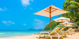 [Hình: images?q=tbn%3AANd9GcRlIf-7mjbzeqDaQP6DN...w&usqp=CAU]