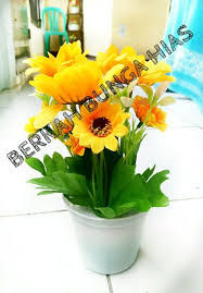 Sedangkan yang biasanya di jadikan untuk bunga hiasan yaitu jenis bunga kamboja berukuran kerdil atau biasa di sebut bunga kamboja jepang. Jual Bunga Matahari Plastik Bunga Plastik Bunga Hiasan Meja Di Lapak Berkah Bunga Hias Plastik Bukalapak