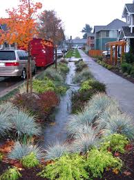 Recycled Organics Make Splash In Green Infrastructure Rain Garden Design Landscape Design Rain Garden