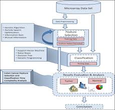 Examining Applying High Performance Genetic Data Feature Selection And Classification Algorithms For Colon Cancer Diagnosis Sciencedirect