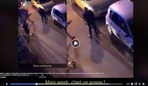 2,911 likes · 6 talking about this · 1,700 were here. Un Enfant De Six Ans Interpelle Par Erreur Au Neuhof