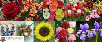 Lilies are one of the most popular and versatile flowers in the world. 10 Most Amazing Flowers To Give On This Valentine S Day Tips 2019