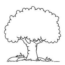 Tree with fruits at summer. Trees Pictures For Coloring Coloring And Drawing