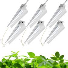 Do you prefer having portable grow lights that you can quickly move and adjust according to your plants' location? Buy Barrina Grow Light 144w 6 X 24w 800w Equivalent 2ft T8 Super Bright Full Spectrum Sunlight Plant Light Led Grow Light Strips Grow Light Bulbs For Indoor Plants Greenhouse 6 Pack Online In