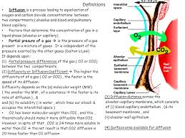Gas Exchange Gas Transfer Dr Taha Sadig Ahmed Physiology Department College Of Medicine King Saud University Riyadh Ppt Download