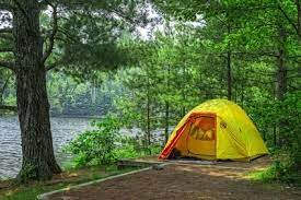 National Forest Campgrounds National Park Camping National Parks Camping Destinations