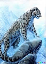 Pin By Xen On Risunki Semejstva Koshachih Snow Leopard Art Leopard Art Big Cats Art
