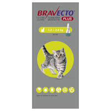 If 2 spots are needed, the first spot should be applied at the base of the skull and the second one between the shoulder blades. Bravecto Plus 112 5mg Spot On Solution For Small Cats From 23 17