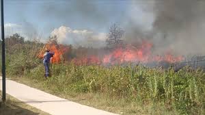 A dare l'allarme alcuni passanti che hanno chiamato i vigili del fuoco, subito arrivati con due. Termoli Incendio Lungo La Ferrovia Traffico Interrotto Sulla Tratta Foggia Pescara Le Foto