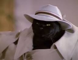 Pin By E P H E M E R A L On Salem Saberhagen Salem The Cat Salem Cat American Shorthair Cat