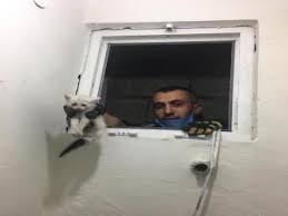 Arama Havalandirma Bosluguna Dusen Kedi Kurtarildi Sayfa
