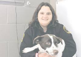 It can be done online quickly, in person at an animal care facility, or through the mail. Animal Control Makes Push To License Dogs The County Press