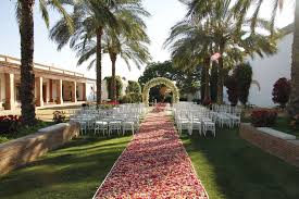 Image result for Atalaya alata