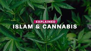If using cbd oil doesn't sit right with you then it isn't for you. What Does Islam Say About Cannabis Explained Youtube