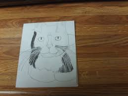 How many cat tokens are there? How To Make A Homemade Cat Card Hubpages