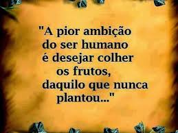 Resultado de imagem para MENSAGEM DE SABEDORIA