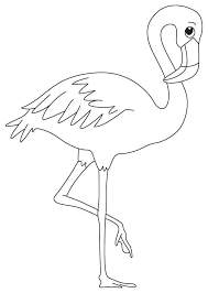 Pink Flamingo Coloring Pages 15 C Flamingo Coloring Page Bird Coloring Pages Minion Coloring Pages
