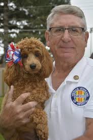 Golden retriever puppies wish happy 4th of July