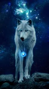 Galaxy Glowing Anime Galaxy Wolf Wallpaper Galaxy hintergrundbilder hintergrundbild weltraum weltall bilder galaxie. galaxy glowing anime galaxy wolf wallpaper