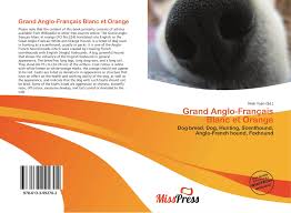 Grande, molto equilibrato, di buona forza. Grand Anglo Francais Blanc Et Orange 978 613 3 99270 2 6133992700 9786133992702