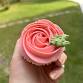 Buttercream Cupcake Decorating Workshop