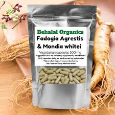Image result for Fadogia