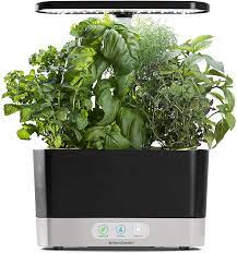 The Best Herb Garden Kits You Can Buy Online Eatingwell