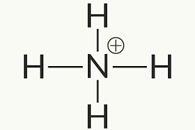 List Of Common Polyatomic Ions