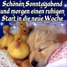 Guten morgen liebe guten nachmittag gute nacht abend bilder orte zum besuchen freundschaft. Schonen Sonntag Abend Video Bilder Und Spruche Fur Whatsapp Und Facebook Kostenlos