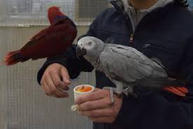 Zoo Zajac In Duisburg Ein Erlebnis Fur Die Ganze Familie Verpottet Zoo Tierhandlung Vogelfutter Kaufen