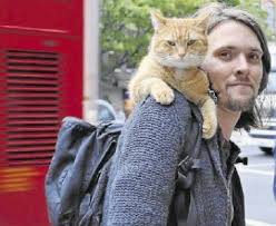 James Bowen Ve Sokak Kedisi Bob Un Hikayesi Benim Hayvanlarim
