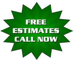 Beachside areas in clearwater and st. Tree Service Hudson Tree Service Pasco Tree Removal