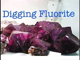 The Crystal Collector Digs Fluorite Crystals In Kentucky Ben Clement Museum Youtube Crystals Crystals And Gemstones Geode Rocks