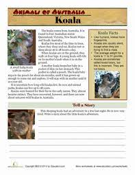 Animals Of Australia Koala Worksheet Education Com Australia Animals Australian Animals Koala