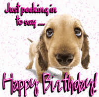 We did not find results for: Most Popular Happy Birthday Gifs Get The Best Gif On Gifer