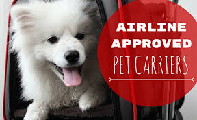 For pets traveling as checked baggage: 8 Best Airline Approved Pet Carriers For In Cabin Flights
