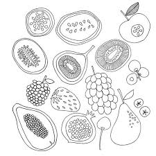 Jocelyn Proust Jos Proust Instagram Photos And Videos Vegetable Drawing Fruits Drawing Fruit Illustration